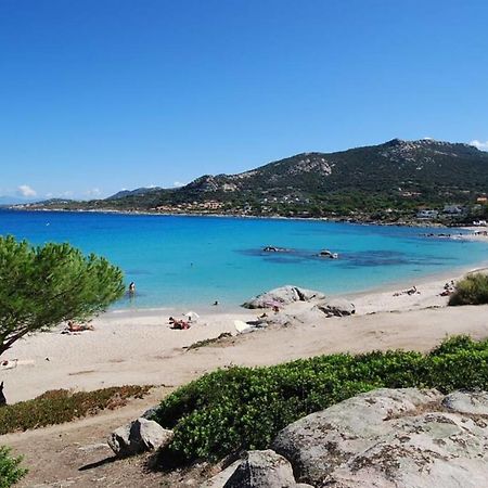 L'Orangeraie Calvi Centre A 300M De La Plage Et Du Port Parking Prive Bagian luar foto