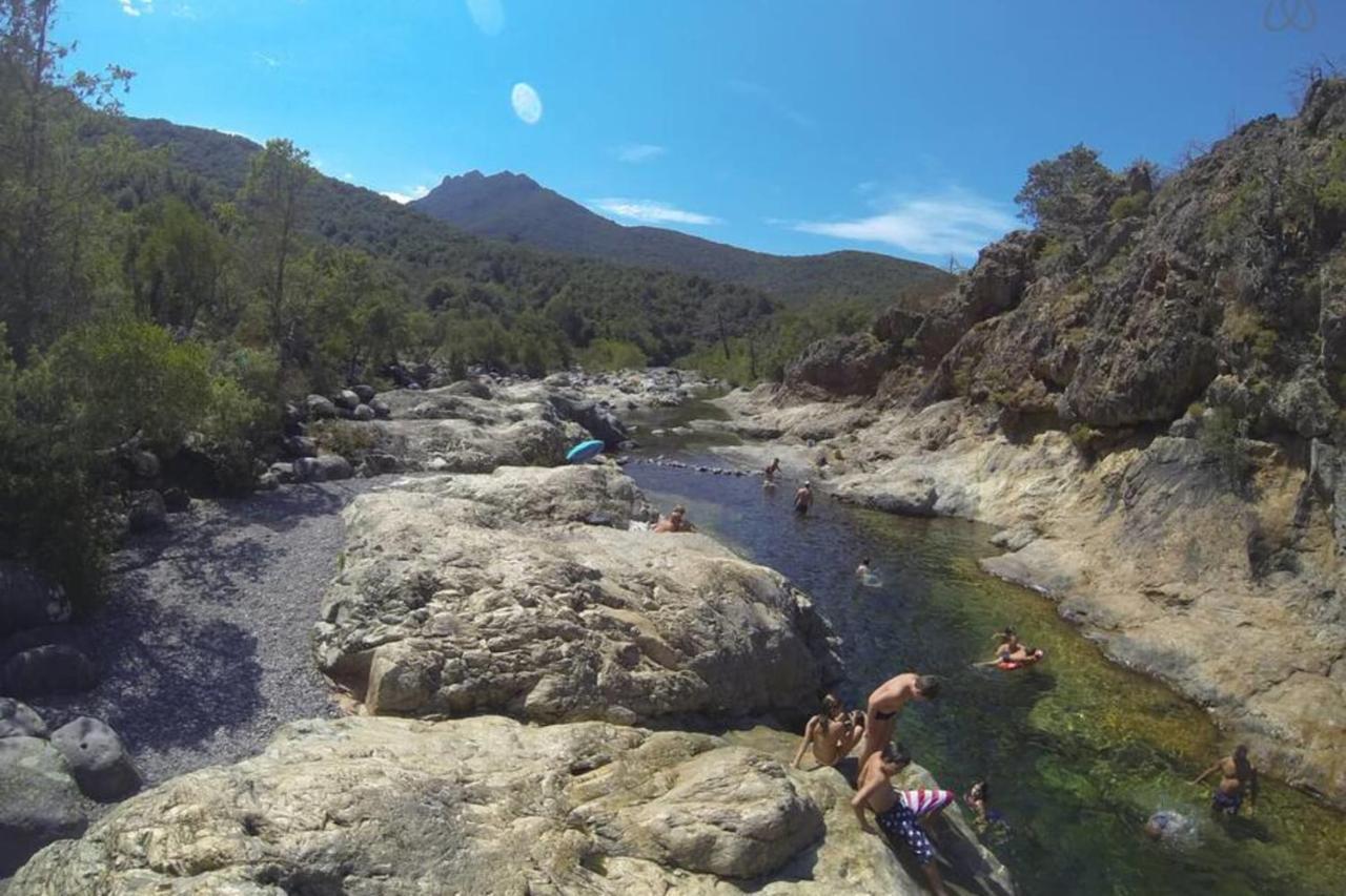 L'Orangeraie Calvi Centre A 300M De La Plage Et Du Port Parking Prive Bagian luar foto