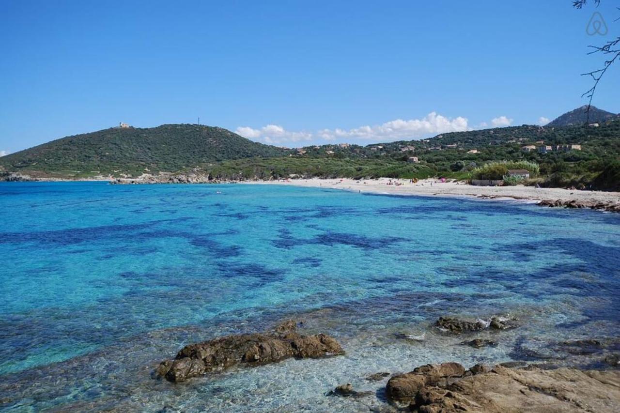L'Orangeraie Calvi Centre A 300M De La Plage Et Du Port Parking Prive Bagian luar foto