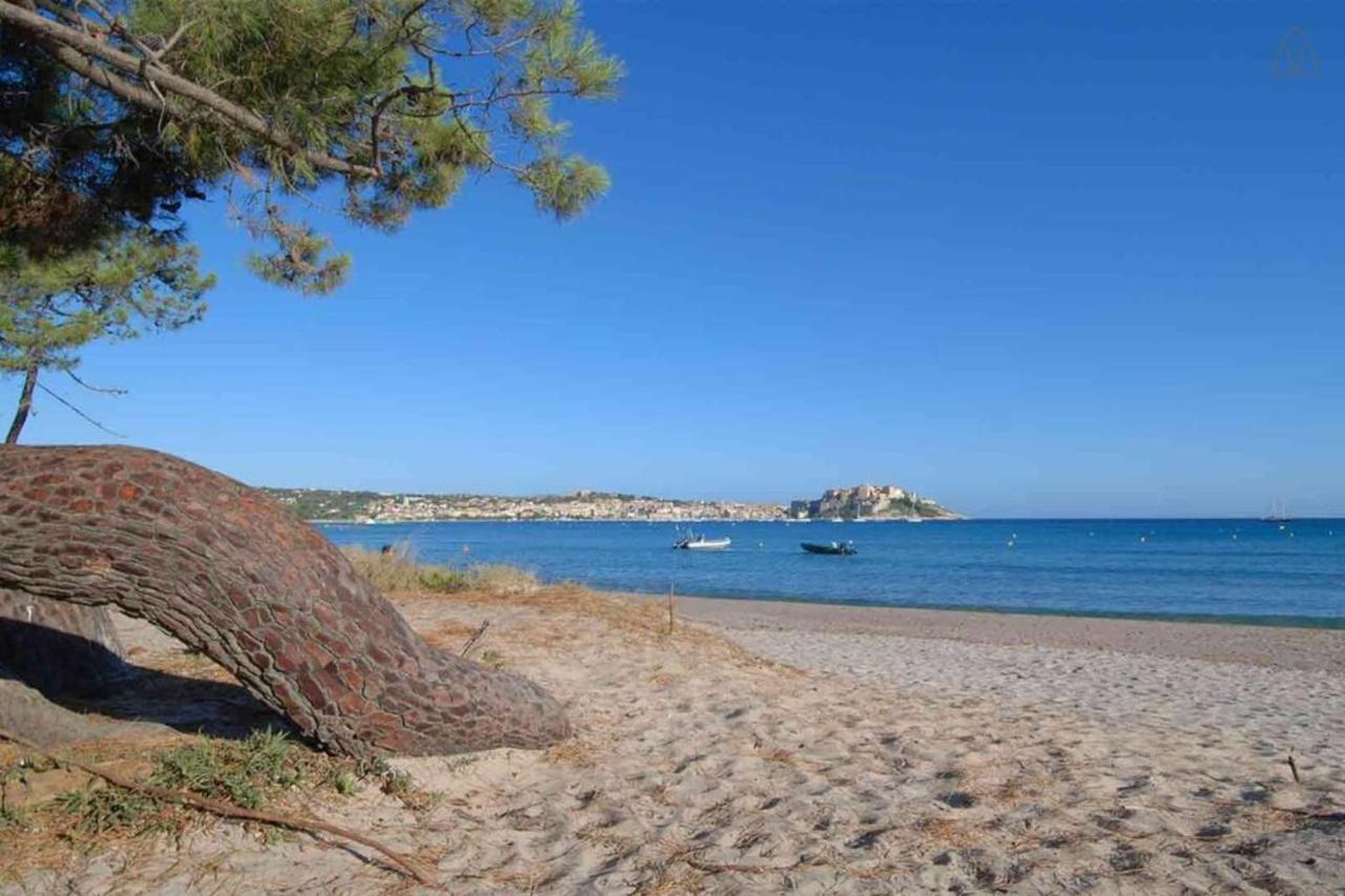 L'Orangeraie Calvi Centre A 300M De La Plage Et Du Port Parking Prive Bagian luar foto